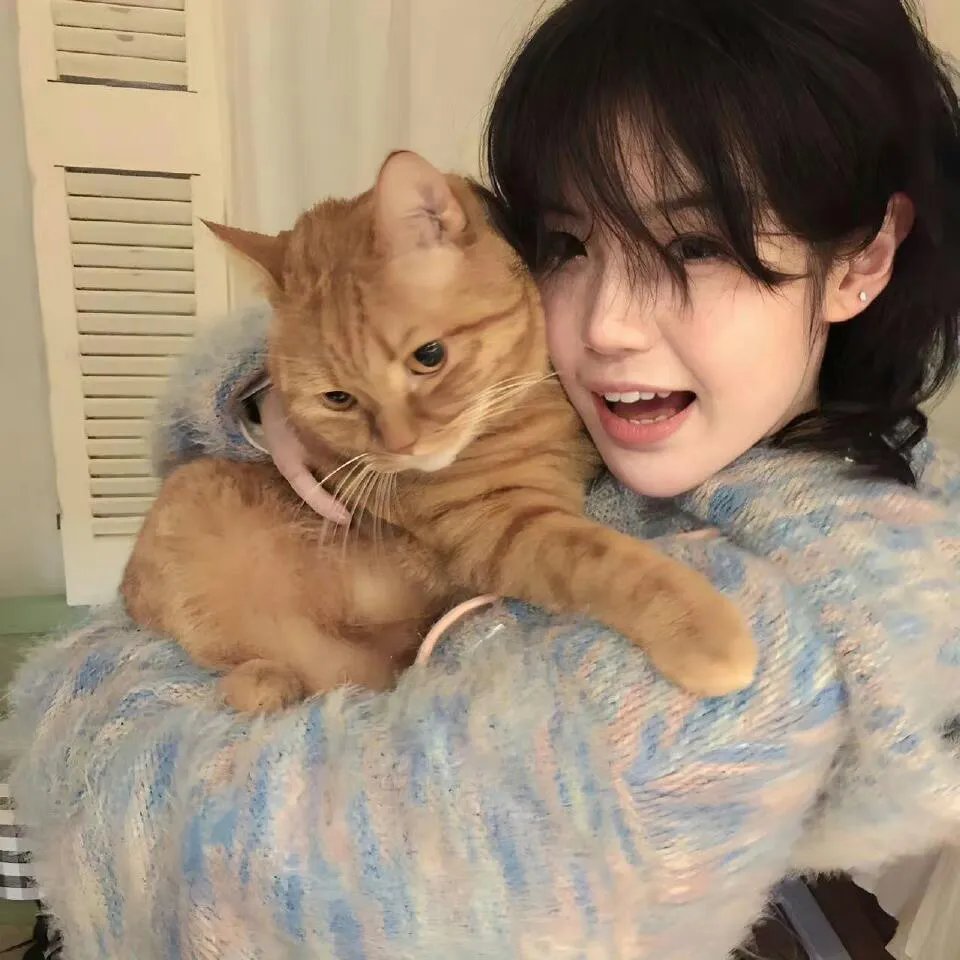 黑猫重案组