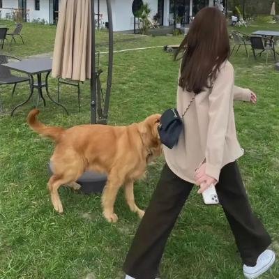 篷车队大绑架